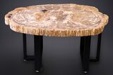 Gorgeous Indonesian Petrified Wood Table - Excellent Wood Detail #264872-1